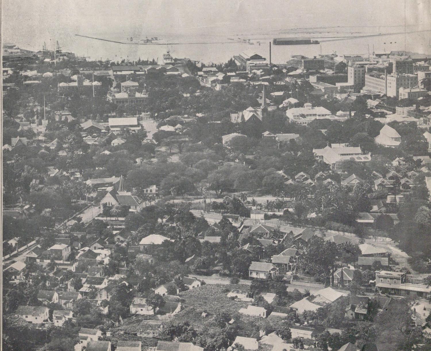 Honolulu in 1911 seen from the hill of Punchbowl: wooden houses among trees, church spires, and the harbor with its piers behind